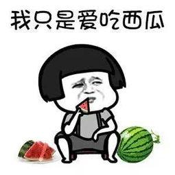 娱乐吃瓜当新鲜感过去,娱乐新鲜感何去何从？