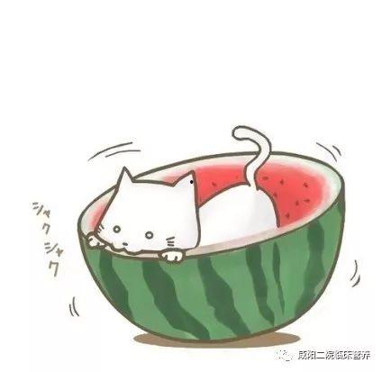 娱乐吃瓜群头像图片高清,趣味横生的视觉盛宴